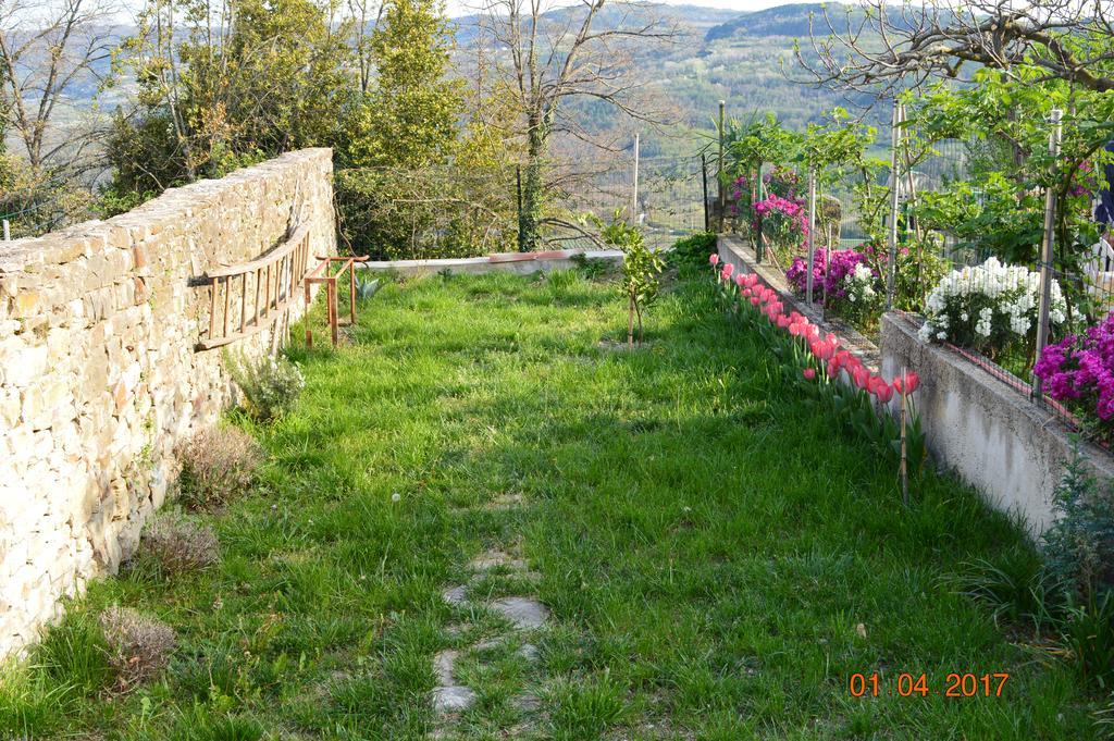 House Of Veli Joze Villa Motovun Eksteriør bilde